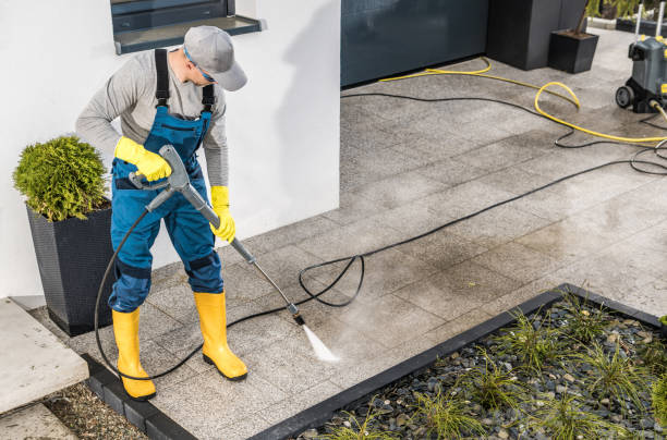 Best Roof Pressure Washing  in Mead, CO